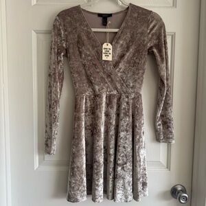 Forever 21 Crushed Velvet Long Sleeve Mini Dress in Champagne